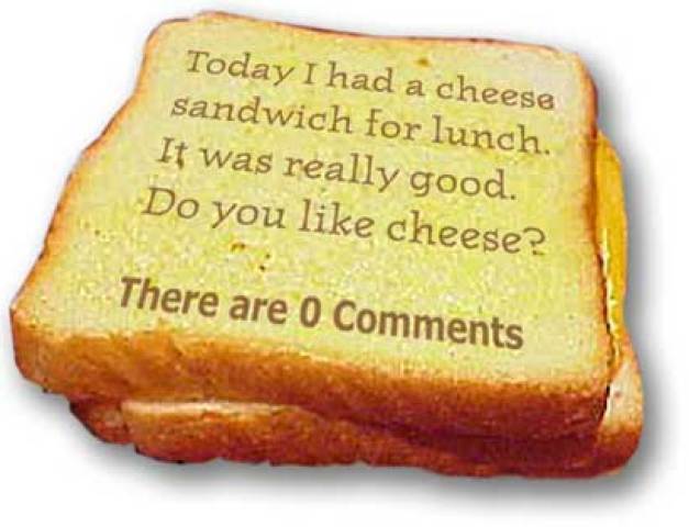 A cheese sandwich
